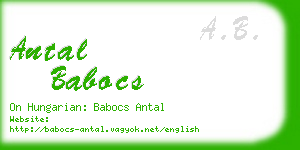 antal babocs business card